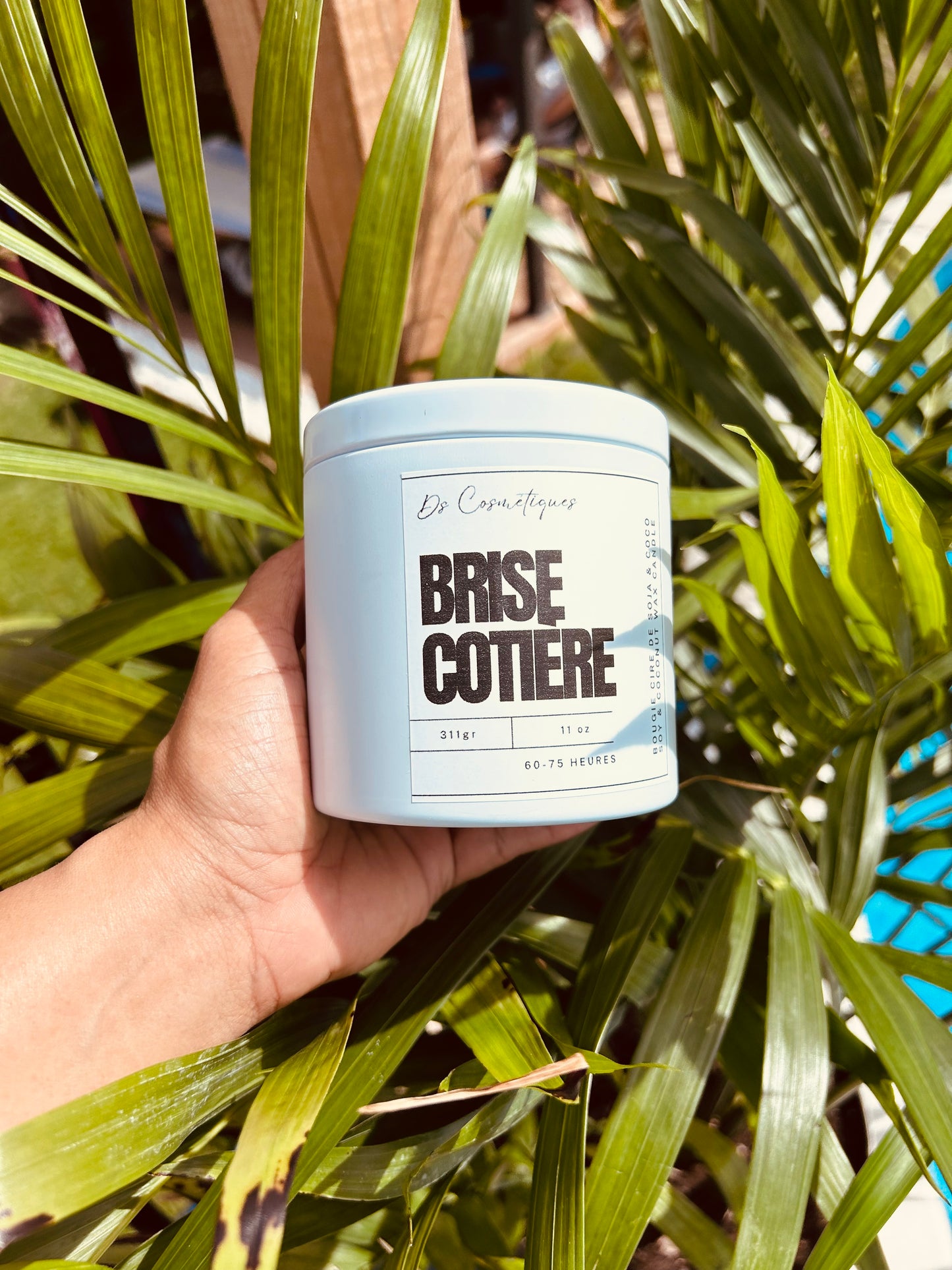 COLLECTION SIGNATURE: BOUGIE BRISE COTIÈRE🏖️