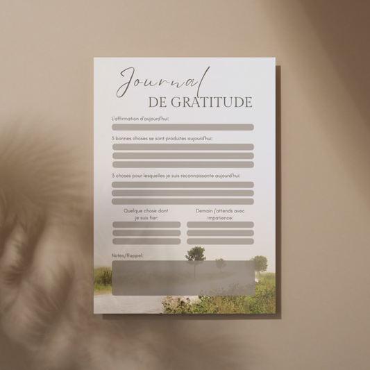 JOURNAL DE GRATITUDE GRAND FORMAT