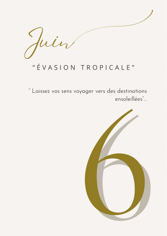 Boîte Évasion Tropicale